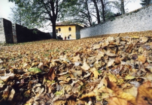 ingresso del Castello